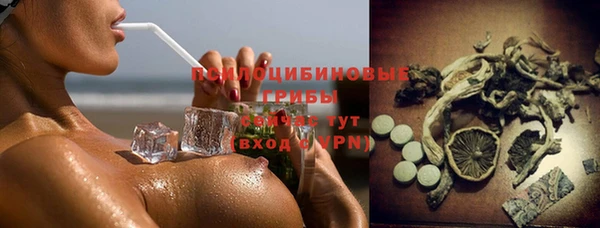 гашик Куйбышев