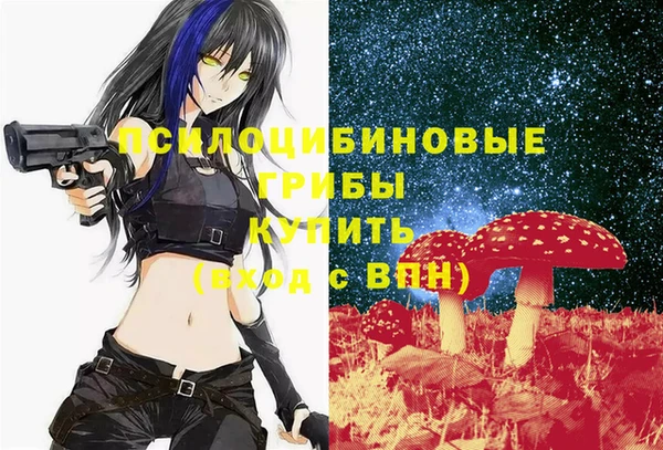 a pvp Кулебаки