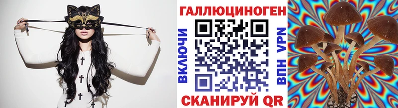 даркнет сайт  Красногорск  маркетплейс состав  Галлюциногенные грибы мицелий 