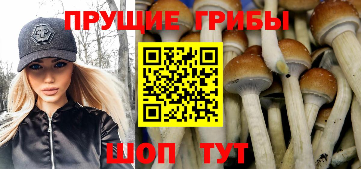 Галлюциногенные грибы мицелий  Вход с VPN  Красногорск 